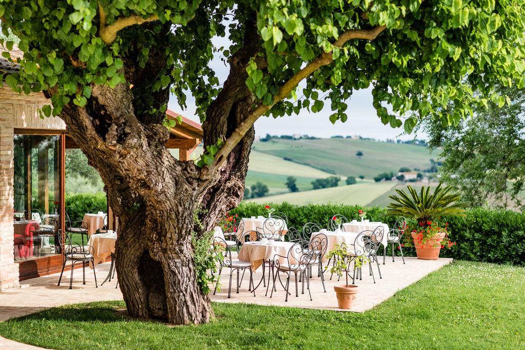 Apartamento Poggio Antico Monte San Vito Exterior foto